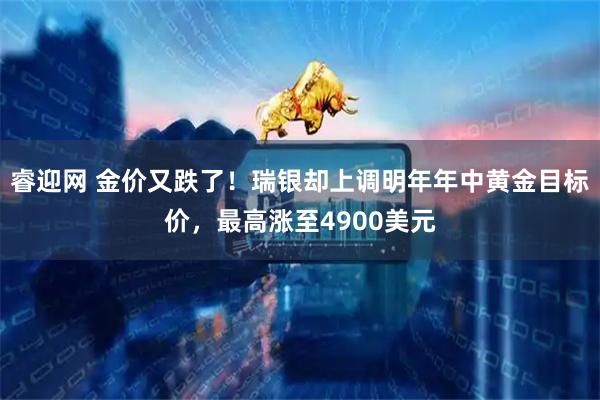睿迎网 金价又跌了！瑞银却上调明年年中黄金目标价，最高涨至4900美元
