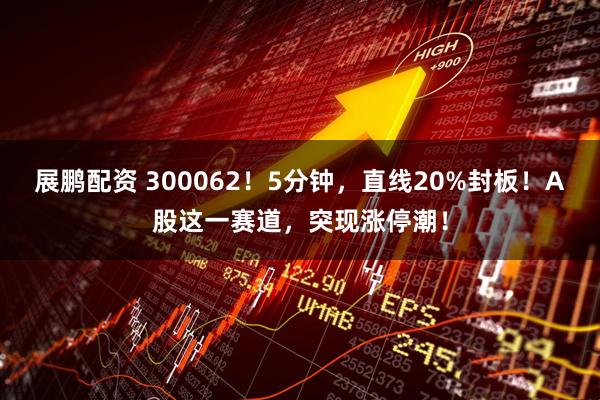 展鹏配资 300062！5分钟，直线20%封板！A股这一赛道，突现涨停潮！