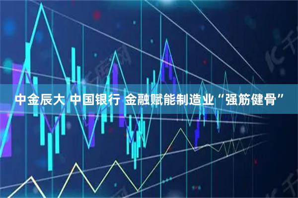 中金辰大 中国银行 金融赋能制造业“强筋健骨”