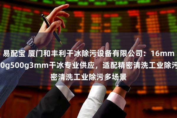 易配宝 厦门和丰利干冰除污设备有限公司：16mm5KG250g500g3mm干冰专业供应，适配精密清洗工业除污多场景